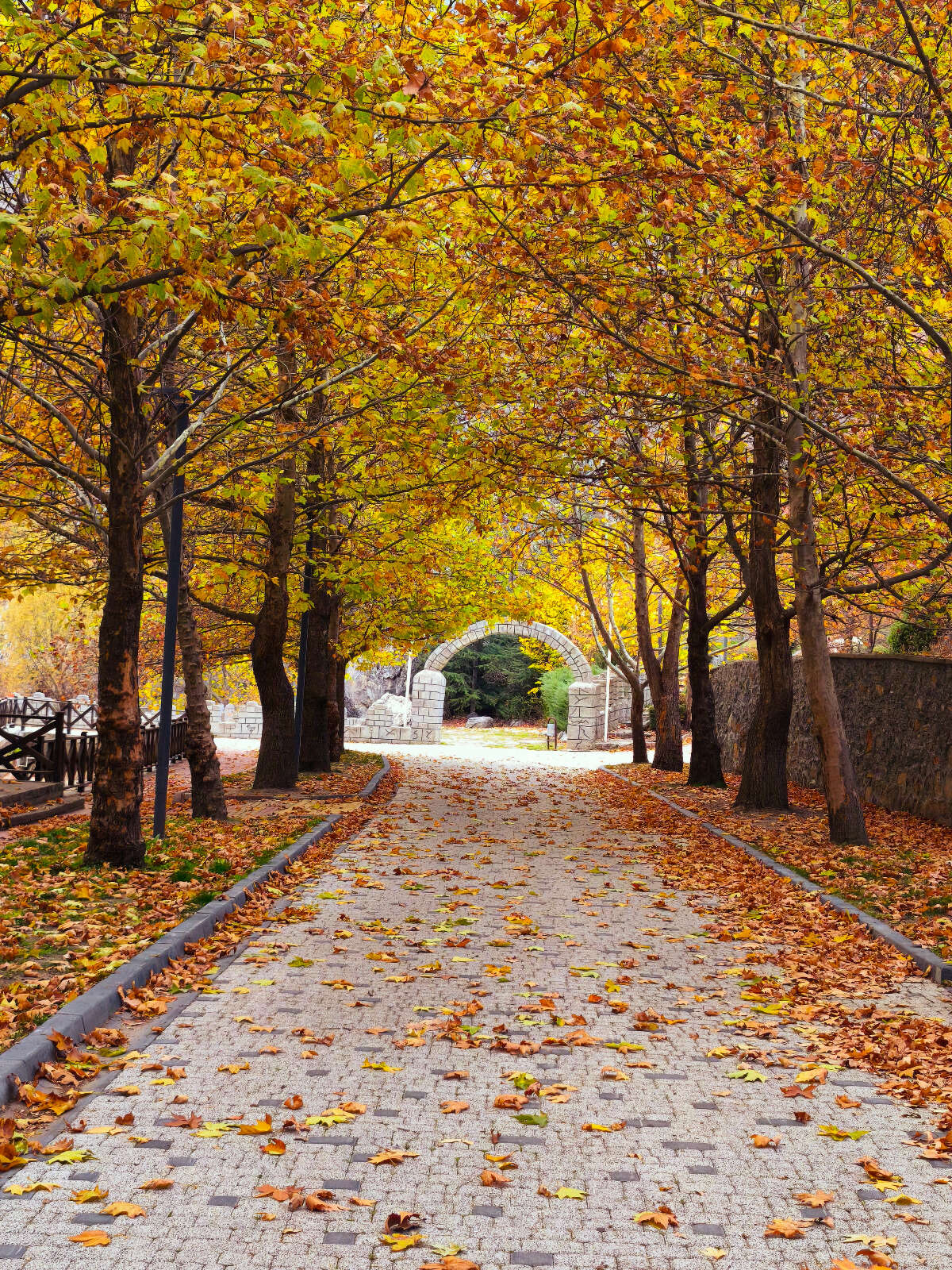 Konya’nın cennet köşesi sonbahar renkleriyle büyülüyor 16
